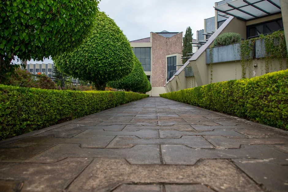 Jardin entretenu avec haie taillee et cloture posee, realise par GB Espace Verts a Metz